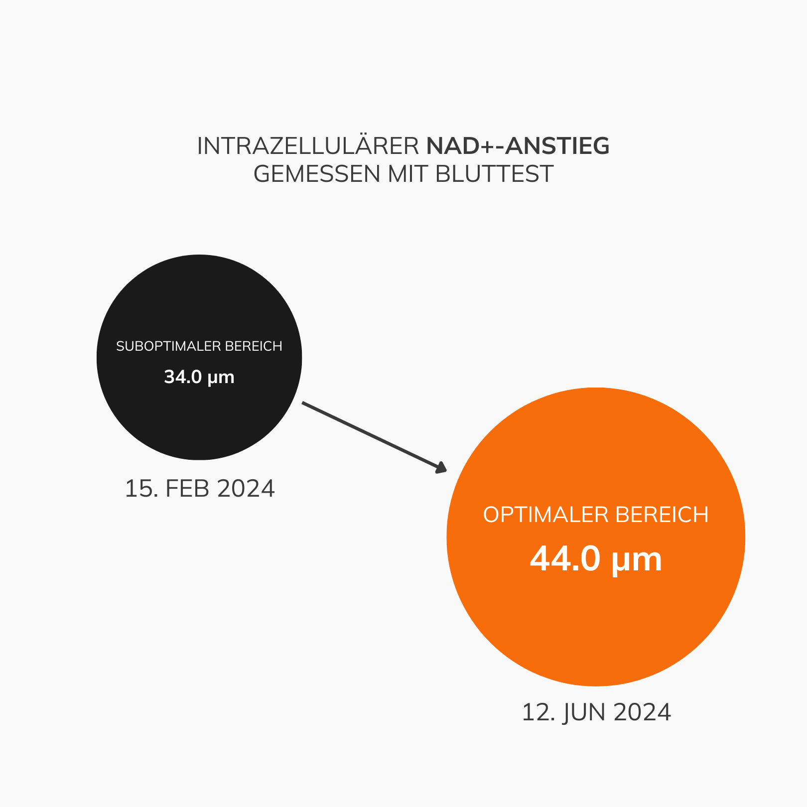 NAD+ Spiegel erhöhen mit NMN